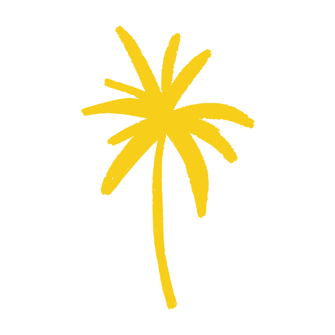 New Palm Ventures Logo